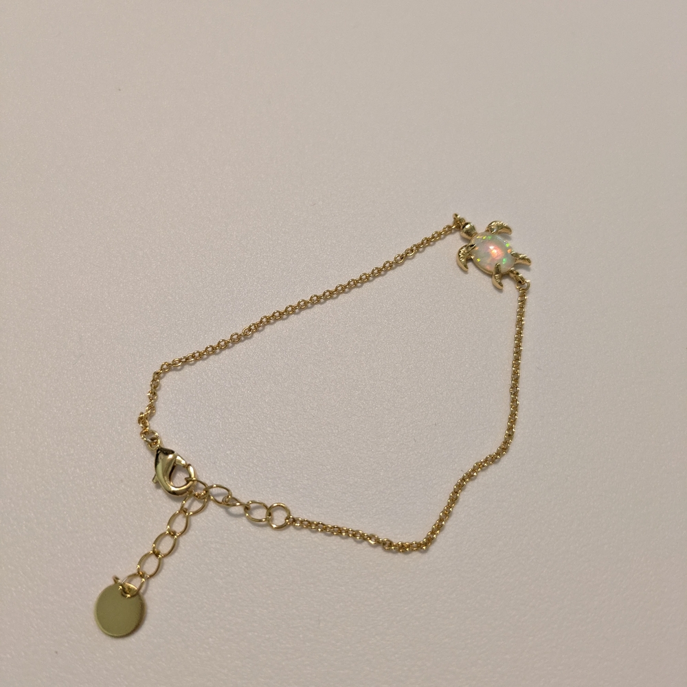 Gold Turtle Charm Bracelet